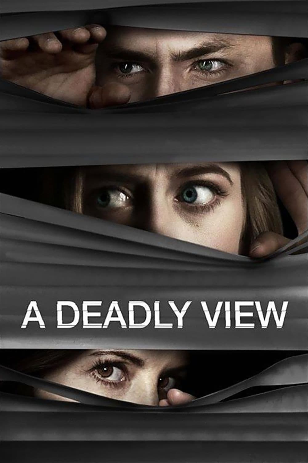 Постер A Deadly View